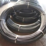 Galvanized Steel Wire